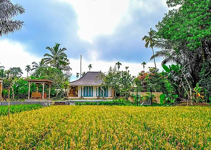 D'pondok Sangaji Ricefield View By Eps ロッジ *