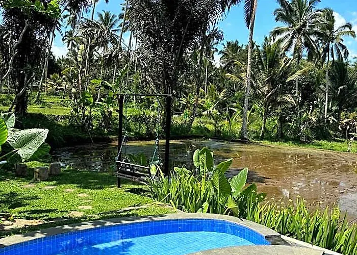 D'pondok Sangaji Ricefield View By Eps *