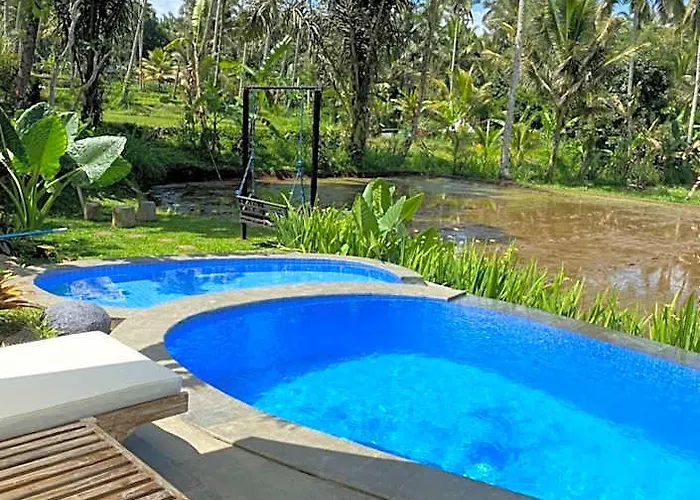 D'pondok Sangaji Ricefield View By Eps Lodge