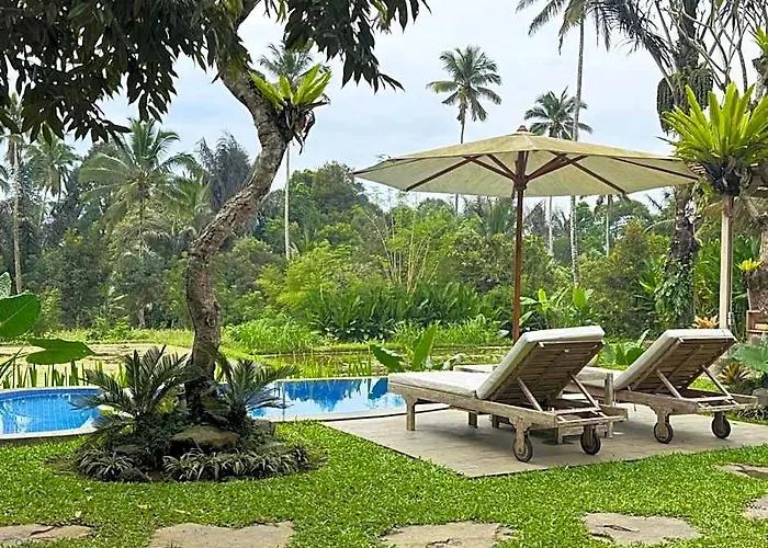 ロッジ D'pondok Sangaji Ricefield View By Eps *