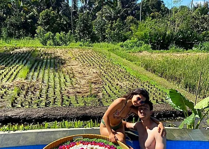 ロッジ D'pondok Sangaji Ricefield View By Eps